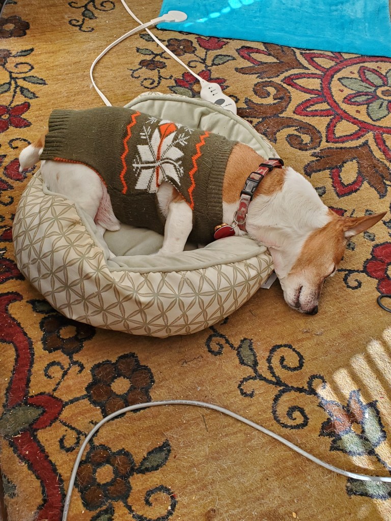 Caution: Watchdog on Premises